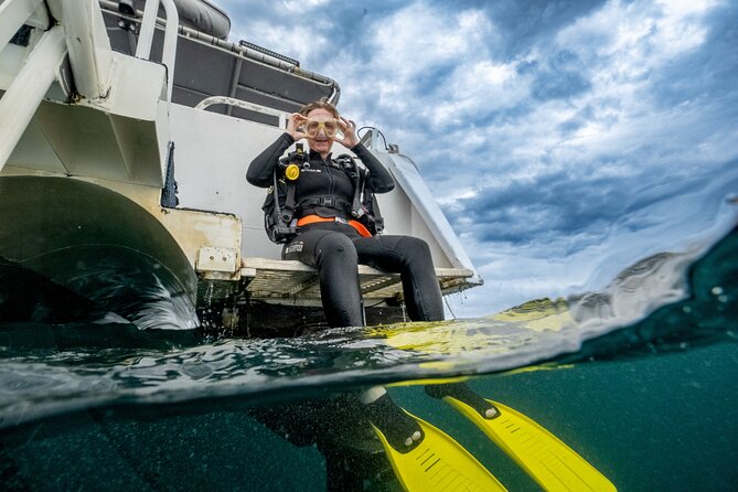 Try Scuba Diving at Cook Island – Guided Ocean Dive with Turtles - Meeting reef fish, turtles, and possible sharks