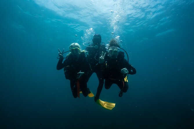 Try Scuba Diving at Cook Island – Guided Ocean Dive with Turtles - Who should book this Gold Coast outing