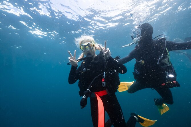 Try Scuba Diving at Cook Island – Guided Ocean Dive with Turtles - Practical booking advice before you pay