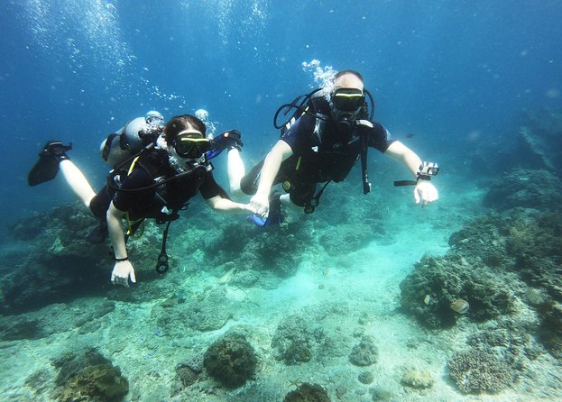 Try Scuba Diving at Padang Bai - The road to Padang Bai and two boat sessions