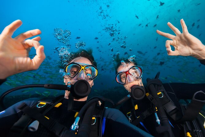 Try Scuba Diving in Kauai From a Boat: No Experience Necessary - Key points to know before booking