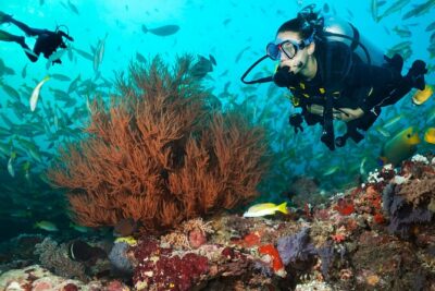 Try Scuba Diving in Kauai From a Boat: No Experience Necessary