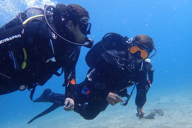 Try Scuba Diving in Lanzarote (No experience needed) - Key points to know before you book