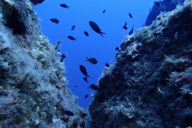 Try Scuba Diving in Lanzarote (No experience needed) - The briefing makes the underwater part feel manageable