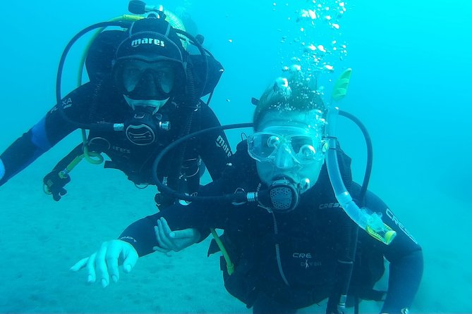 Try Scuba Diving in Lanzarote (No experience needed) - Reef scenery and marine life around Playa Chica