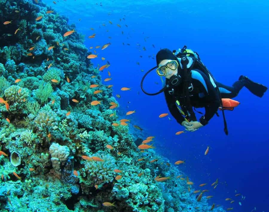 Try Scuba Diving in Racha Yai/noi: 2 Dives for Non-Certified - What the first 50-minute session is like