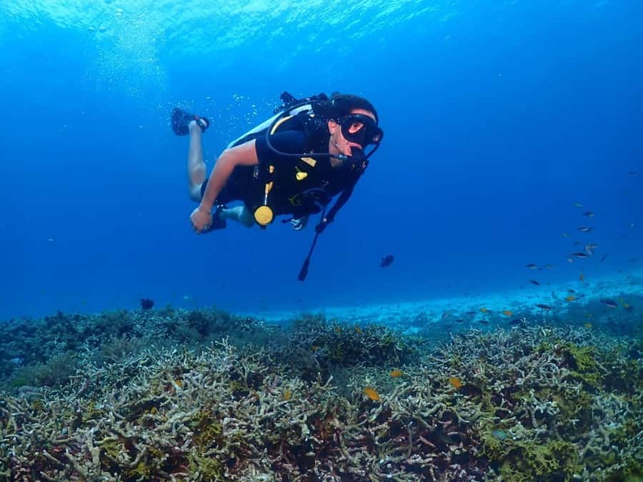Try Scuba Diving in Racha Yai/noi: 2 Dives for Non-Certified - Why the small group changes the experience