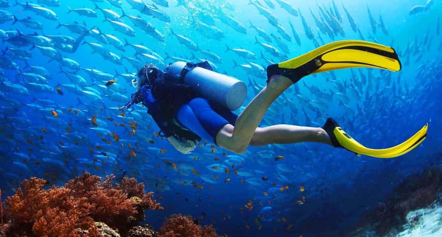 Try Scuba Diving in Racha Yai/noi: 2 Dives for Non-Certified - Leaving Phuket for the island