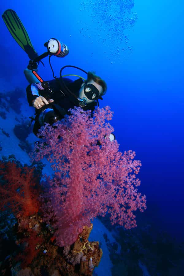 Try Scuba Diving in Racha Yai/noi: 3 Dives for Non-Certified - Who Should Book This Phuket Scuba Experience?