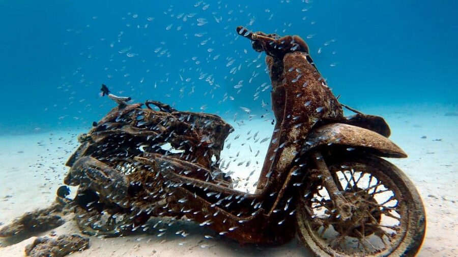 Try Scuba Diving in Racha Yai/noi: 3 Dives for Non-Certified - The Second Session: More Time to Notice Marine Life