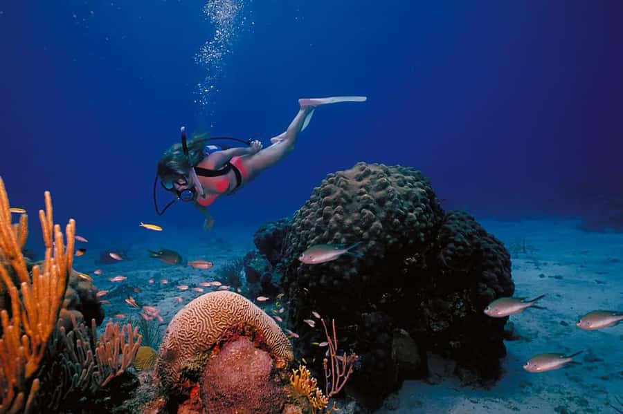 Try Scuba Diving in Racha Yai/noi: 3 Dives for Non-Certified - What You Learn Before Entering the Water