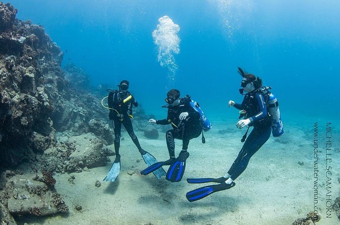 Try Scuba Diving on Kaua’i with Sea Turtles - Why the $665 price deserves a close look