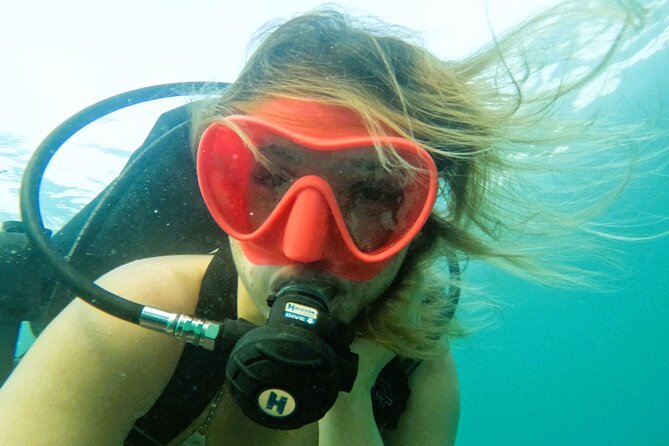 Try Scuba Diving & snorkeling with BBQ lunch & Transfer - From Dubai to Fujairah: a full marine day