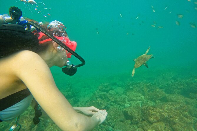 Try Scuba Diving & snorkeling with BBQ lunch & Transfer - What the BBQ lunch adds to the day