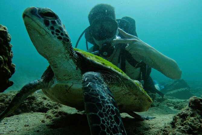 Try Scuba Diving & snorkeling with BBQ lunch & Transfer - My verdict: book it for a first underwater experience