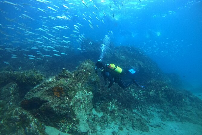 Try Scuba Diving with 2 Ocean Dives - Playa Chica gives the morning a practical setting