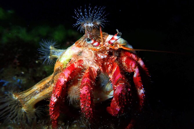 Try Scuba Diving with 2 Ocean Dives - Equipment, snacks, and the small details that help