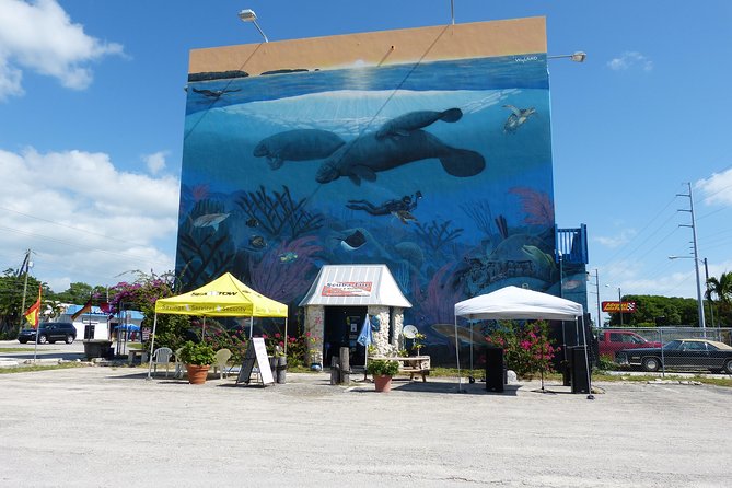 Try Scuba Diving with Professional Scuba Instructor - Key things to know before booking