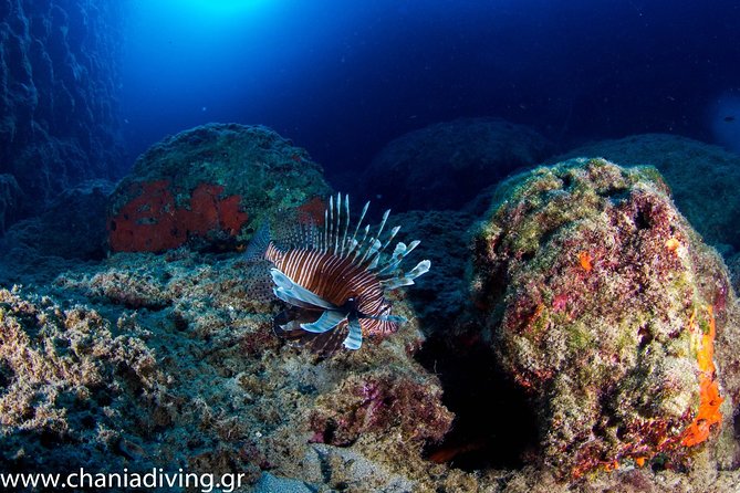 Try Scuba in Crete – Free Certification & Photos (Beginners) - Free photos are a practical extra