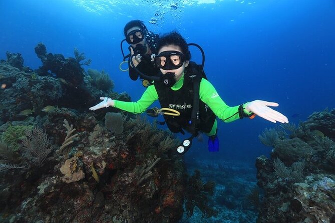 Two Dives and Class for Begginers Divers in Cancun - Equipment, comfort, and what you need to pack