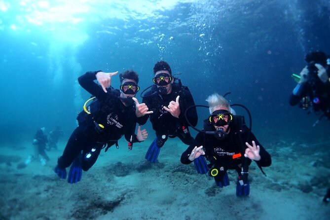 Two Dives for certified divers in Fujairah - What happens when you reach Fujairah