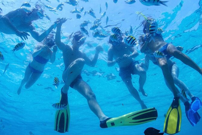 Two Dives for certified divers in Fujairah - Food, health, and what to pack