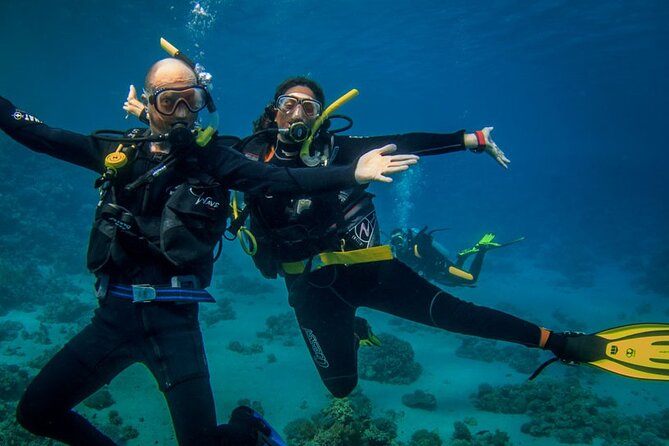 Two dives For Professional Divers Full Day Trip Wreck SCUBA equipment - Hurghada - A good option for mixed scuba and snorkeling groups