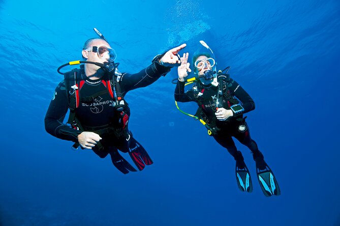 Two Morning Dives in Gozo for Certified Diver - What the $181.02 price really covers
