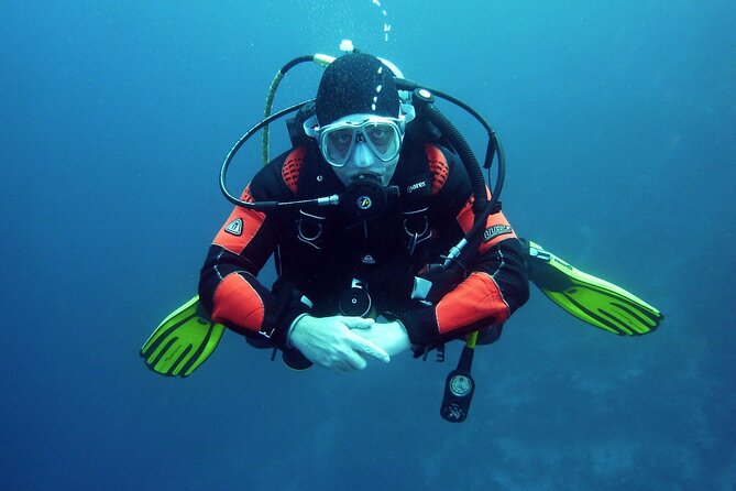 Two Morning Dives in Gozo for Certified Diver - Who will get the most from this outing