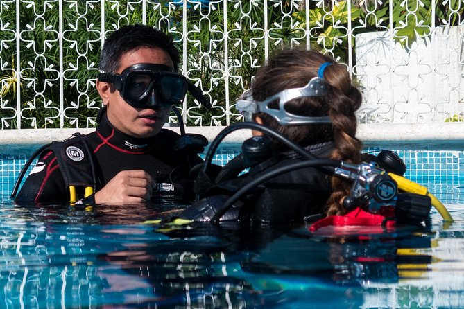 Two reef discovery dives with professional instructor (no experience necessary) - Your morning at Tank-Ha Dive Center