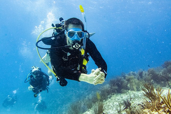 Two reef discovery dives with professional instructor (no experience necessary) - A practical break before the boat