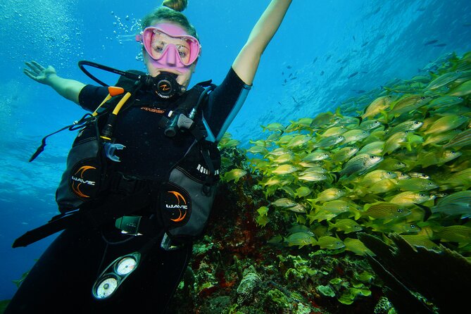 Two Reefs For Certified Divers in Cancun - Key points to know before booking