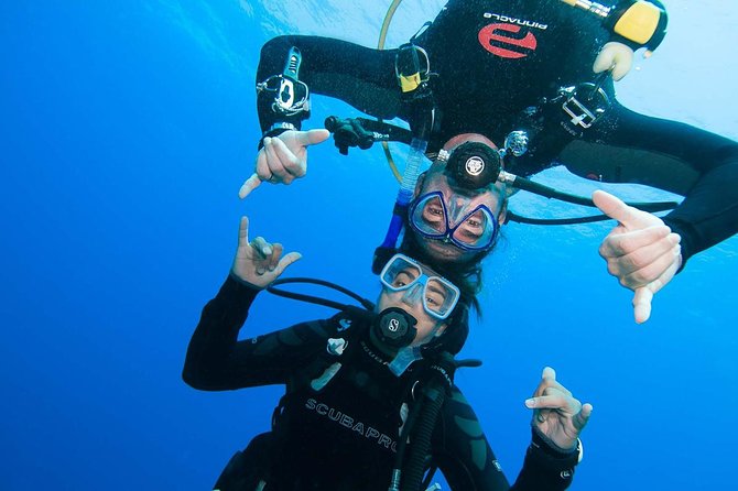 Two-Tank Dive for Certified Diving in St Thomas - Setting out from Saga Haven Marina