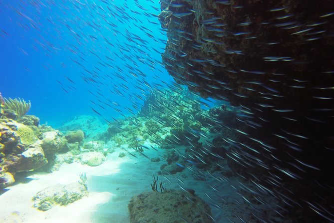 Two-Tank Dive for Certified Diving in St Thomas - The second site and what can change