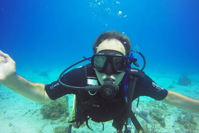 Two-Tank Dive for Certified Diving in St Thomas - Who will get the most from this outing