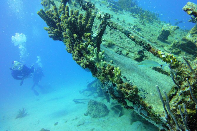 Two-Tank Dive for Certified Diving in St Thomas - Practical details that can affect your day