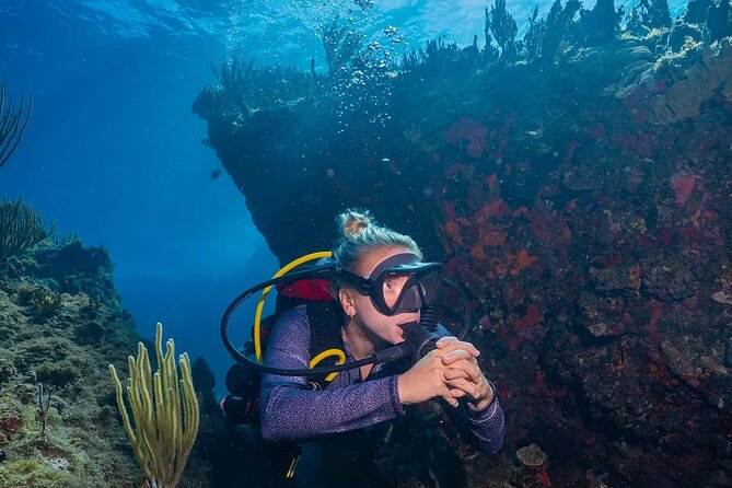 Two-Tank Morning Dive Trip for Certified Divers - Boat access, equipment, and the morning routine