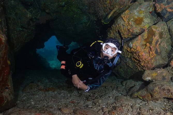 Two-Tank Morning Dive Trip for Certified Divers - Who should book this morning outing?