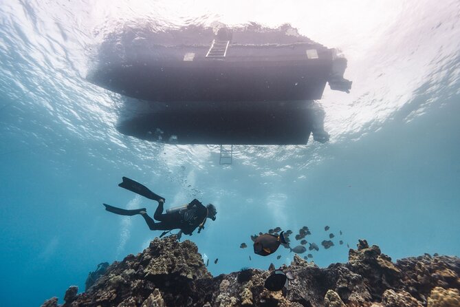 Two Tank Morning Reef Dive and Snorkel - What the morning looks like at Aquatic Life Divers