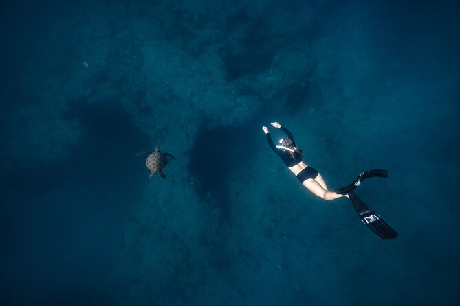 Two Tank Morning Reef Dive and Snorkel - Who will get the most from this outing
