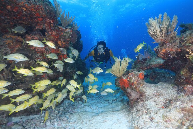 Two Tanks Scuba Diving for Beginners in Cancun - From pool practice to the Caribbean