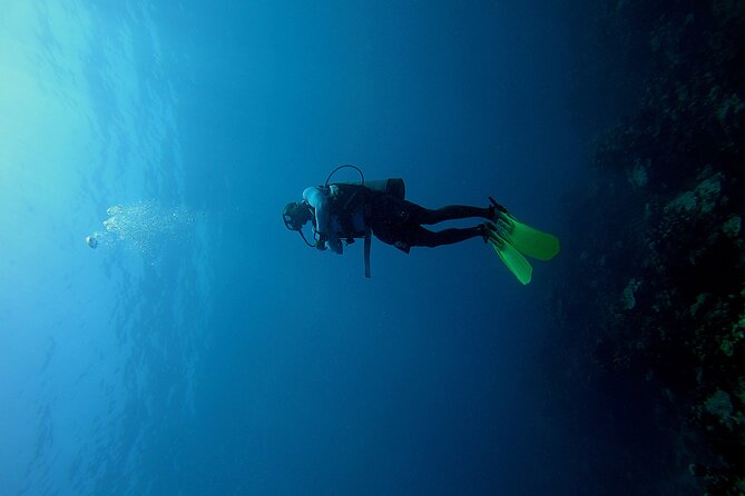 Under a sea of adventures, unforgettable diving. - Starting at Muelle de la Bodeguita