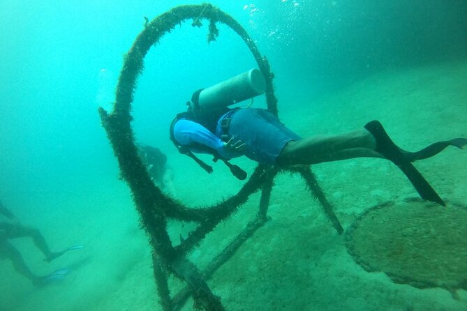Under a sea of adventures, unforgettable diving. - First-time scuba in a controlled setting