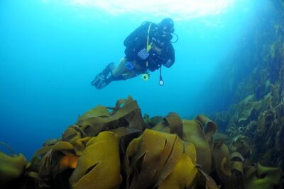 Unique Scuba Diving Experience