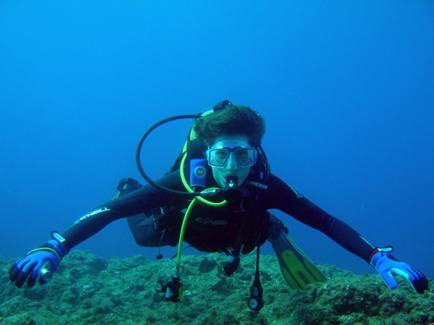 Vila Franca Do Campo: Introduction to Scuba Diving Tour - Why this Azorean setting makes the session special