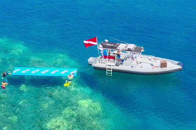 VIP Aloha Nui Snorkel Adventure w/ optional SCUBA from Lahaina - Why the small-boat format matters