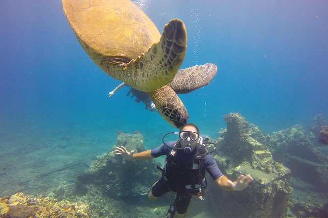VIP Aloha Nui Snorkel Adventure w/ optional SCUBA from Lahaina - What the crew adds to the day