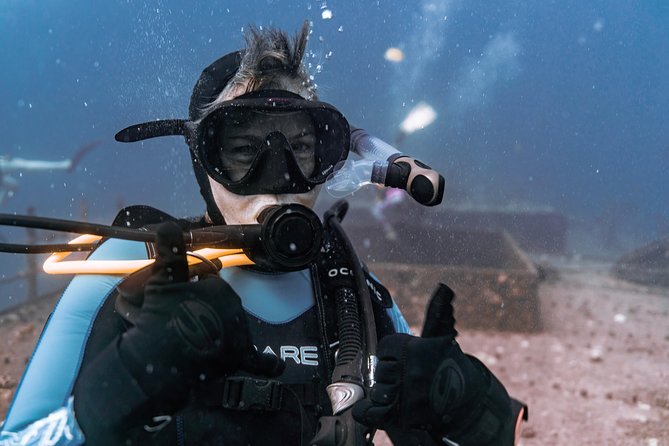Waikiki 2 Tank World Class Wreck SCUBA Diving - Certified Only - The second tank brings you back to Waikiki’s reef life