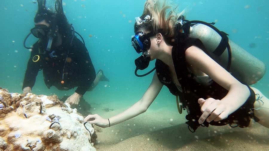 Waikiki: Honolulu Beginner Scuba Diving with Videos - The First 10 to 15 Minutes: Learning the Basics