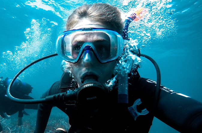 Whale and Dive Combo Tour in Los Cabos - A surface break with another whale search